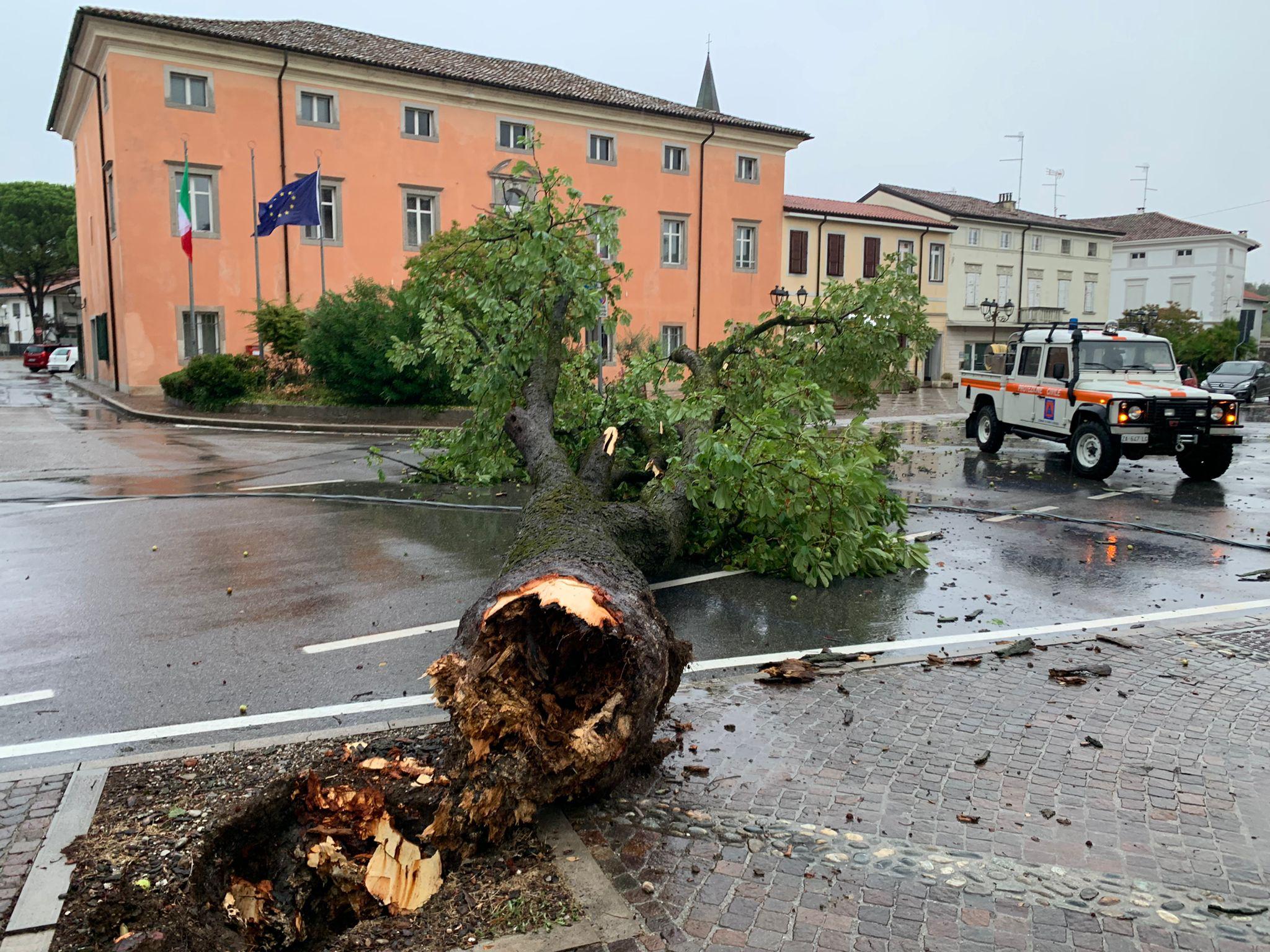 Immagine per Raffiche di vento e pioggia, il maltempo colpisce la provincia di Gorizia